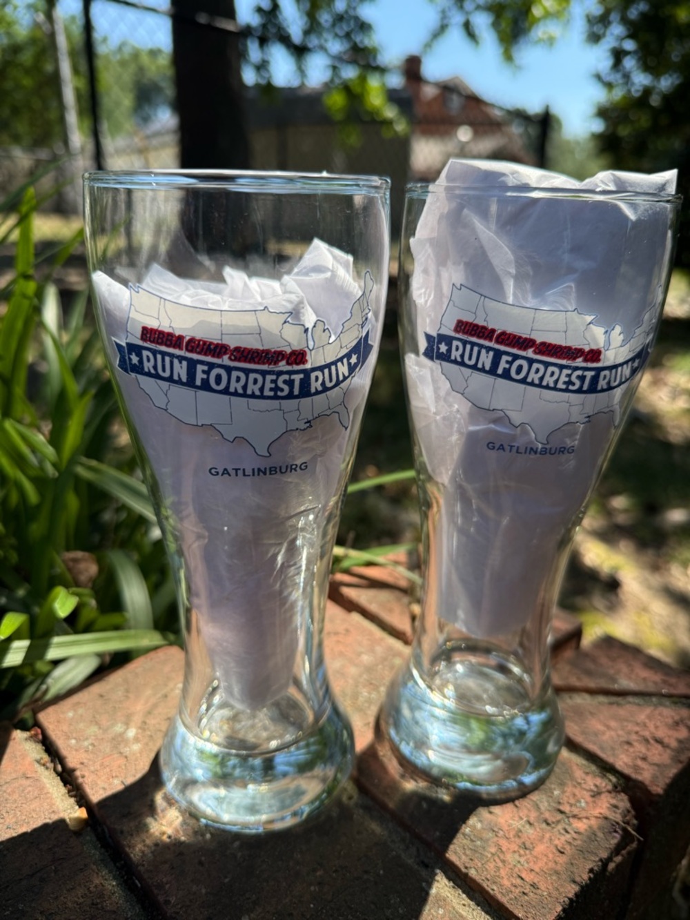 Bubba Gump Shrimp Co Gatlinburg TN Beer Glasses Pint 16oz (Set Of 2)
